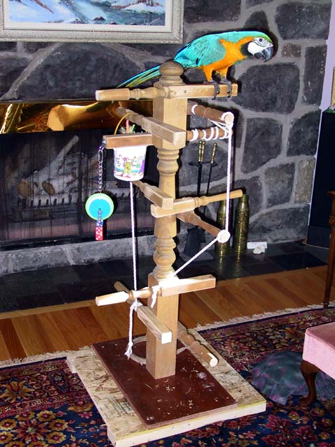 Play Gym