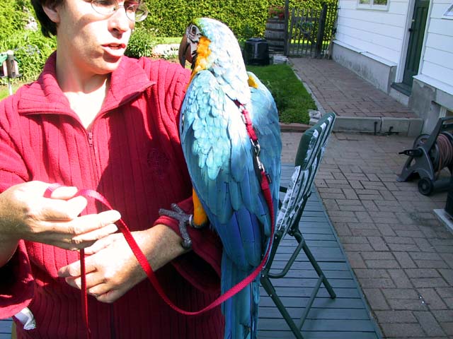 Buddy on the tether.