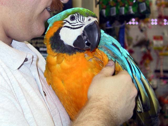 Visit to Critter Jungle